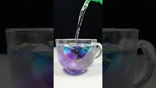 Butterfly pea flowers mocktail🪻 #shorts