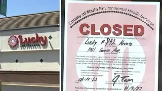 Novato Lucky supermarket in Marin Co. temporarily closes due to rodent infestation