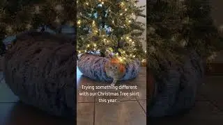 Cat Tunnel Christmas Tree Skirt Hack🌲 #cats #christmas #orangecat #experiment #christmastree #clever