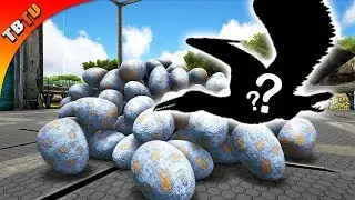 THESE WILL NOT MUTATE! ARK PELAGORNIS MUTATIONS! Ark Survival Evolved Mutation Zoo
