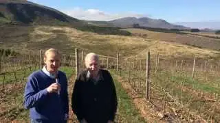 Cluver family generations of winemaking