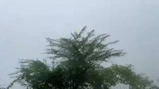 Vedetar trip