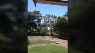 MI SELVA HERMOSA  %PERU SAN MARTIN