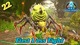 Gamma to Alpha! The Ultimate Broodmother Challenge | ARK Ascended | The Island