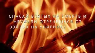 Autumn BBQ Invitation Video 2