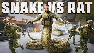 WHEN A SNAKE EATS A RAT! | Arena Breakout Infinite