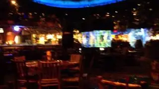 rainforest cafe 10 9 12