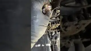 Setting points gap and therefore ignition timing on a Honda CG110
