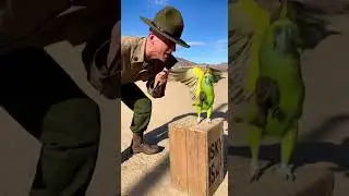 The Toughest Recruit: Drill Sergeant vs. Talking Parrot