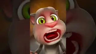 talk cat 🐈 eating red chilli 🤢 #comedy #funnyshorts #talkcat