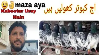 Aj Kabootar Uray Hain Maza Aya