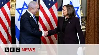 Arab-Americans&rsquo; anger over Gaza threatens Kamala Harris in Michigan | BBC News