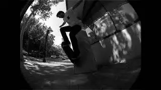 Steve Forstner - 