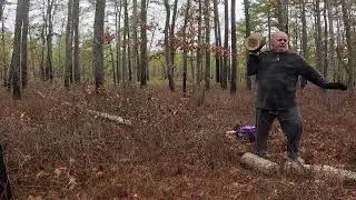 Pinkway chainsaw, beast or junk ? You won&rsquo;t believe the results!