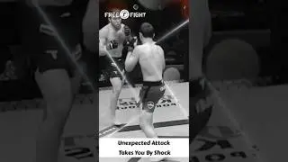 Неожиданное нападение повергло вас в шок #mma #ufc