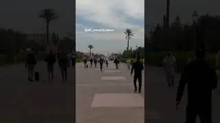 Marrakech City Tours | Explore Marrakesh | Escorted Tours | Women adventures | Travel to Morocco