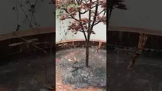 Bronze fountain with bronze dragon flies looked alive in summer #art #fountain #bronzefountain#grace