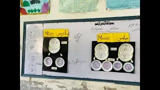 STEDA Best Teaching Practices Competition 2024 | Winning Video | Mohsin Ali | GBHS Abad Lakha Sukkur