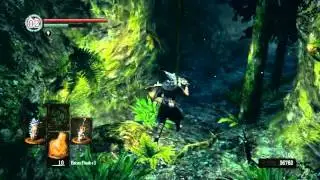 dark souls darkroot basin to darkroot garden