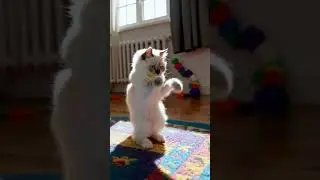 Cute fluffy cat dance #AIArtFail #cute #cat #cutecat #funny #cuteanimals #badai #aiartfail #shorts