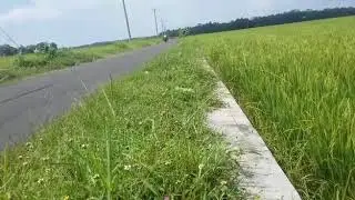 Tes vega lama stdr jglek sst