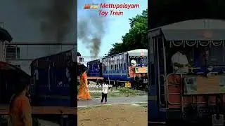 😊Arrives Fast 🚂🚃Coonoor Toy Train #shortsfeed