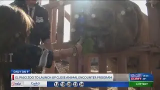 El Paso Zoo to launch program to bring you up close to endangered species