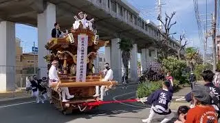 阪急甲東園駅前 太鼓台・だんじり奉祝パレード 大市・生瀬・今津 【大市八幡神社 幣殿･拝殿竣工奉告祭】