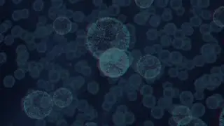 Nanoparticles