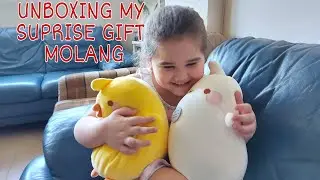 Unboxing my surprise gift MOLANG