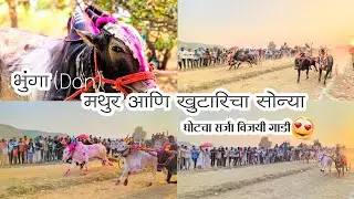 भुंगा (Don) भेटला l मथुर आणि खुटारीचा सोन्या यांची गाडी हरली l🥺 l घोटचा सर्जा विजयी गाडी 🔥l #शर्यत 