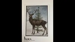 Imala Peace, Love, Joy and Enchanted Forest Papers