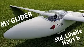MY GLIDER | 45 YEAR OLD STD LIBELLE | VLOG 17