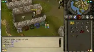 slim-rs best 317 runescape private server
