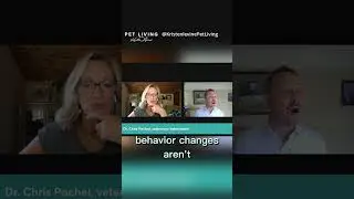 When Should You Call a Veterinary Behaviorist? (Dr.  Pachel PAAW Interview Part 2) #dogtraining