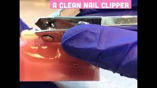 Cutting Long Ends with Clean Nail Clippers.