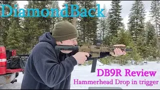 DiamondBack Firearms DB9R