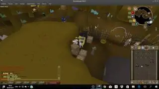 dreamscape 317 custom server upgrading items