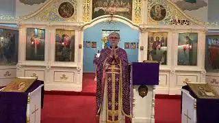 Proto Stevo's (St. Sava Serbian Orthodox Church) Message to the Faithful - 