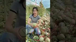 Farm Fresh Fruit | Tik Tok China #322