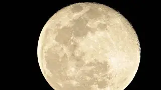 Virtual Stargazing - Tour of the Moon (ft. Riverside Astronomical Society)