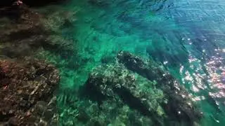 Vista Subaqu&aacute;tica Deslumbrante Dos Recifes De Corais - Stunning Underwater View of Coral Reefs