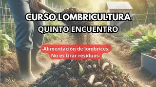 Qué comen las lombrices y cómo preparar el alimento correctamente