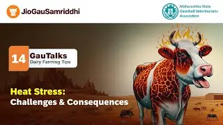 Heat Stress: Challenges and Consequences #jiogausamriddhi #heatstress