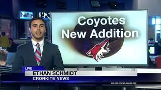 Coyotes trade for forwards | Cronkite News