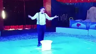 Zirkus Belloni in Purbach