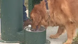 Bark Park now open in Aledo