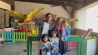 Breakfast with Jelly and other Tropical Birds | Emirates Park zoo Abu Dhabi !