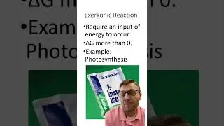 Endergonic vs. Exergonic Reaction