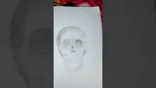 Skull #kpop #bts